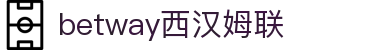 BETWAY·必威(西汉姆联)官方网站-West Ham United"